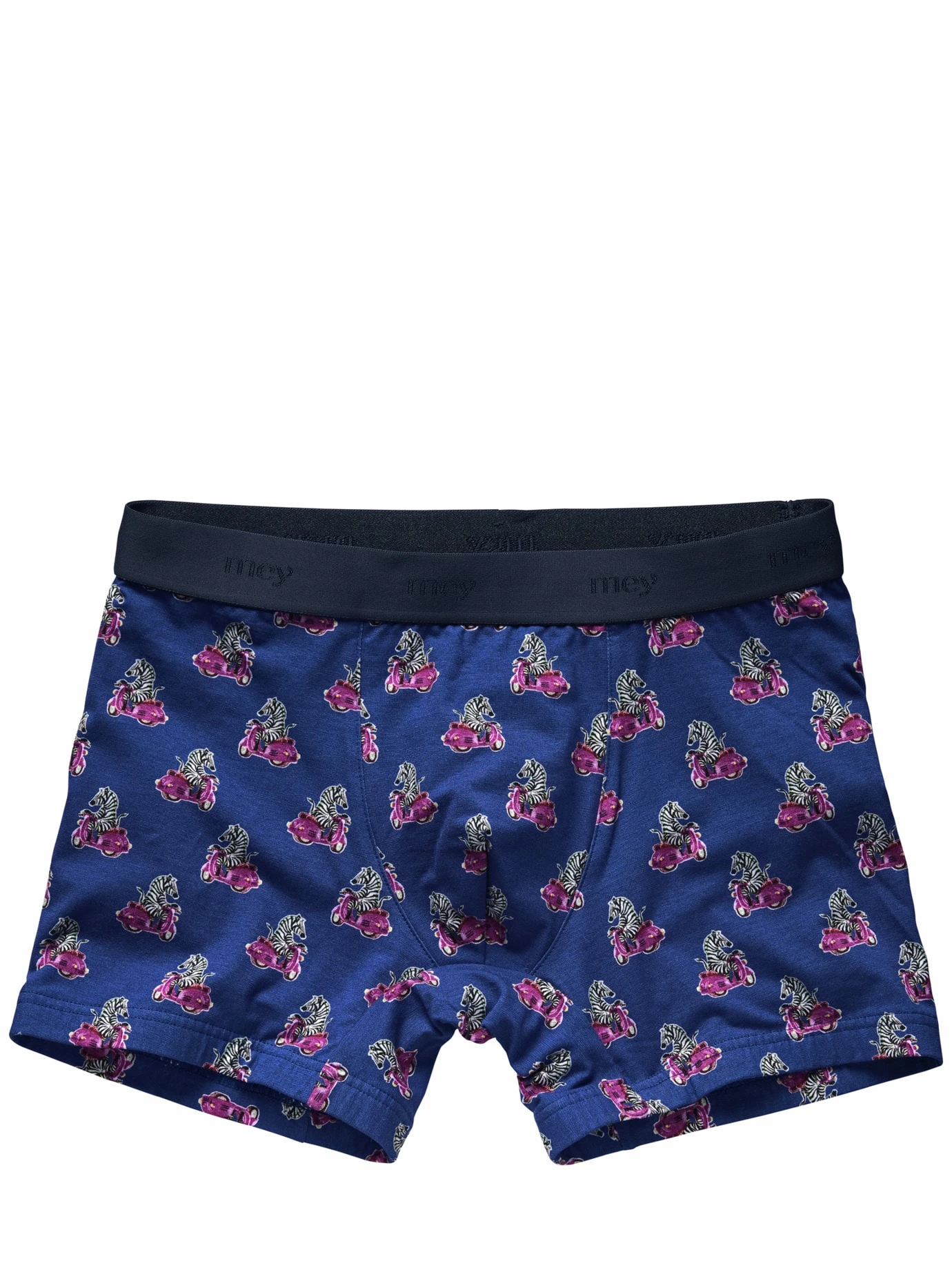 Irre Zebra-Pants 1 Irre Zebra-Pants