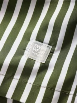 Bodensee-Badeshorts -Kleidung Verkauf EC22 4197 DG 1