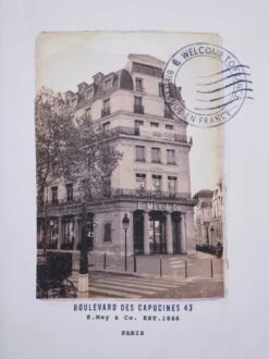 Grüße-vom-Ernst-Shirt 19 Grüße-vom-Ernst-Shirt -Kleidung Verkauf EC23 6318 DH 1