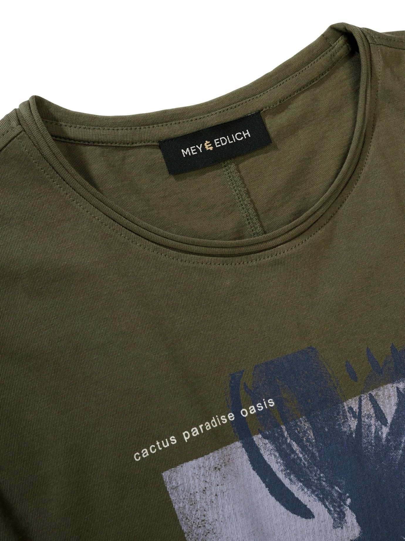 Cactaceae-Shirt 10 Cactaceae-Shirt – Bild 10